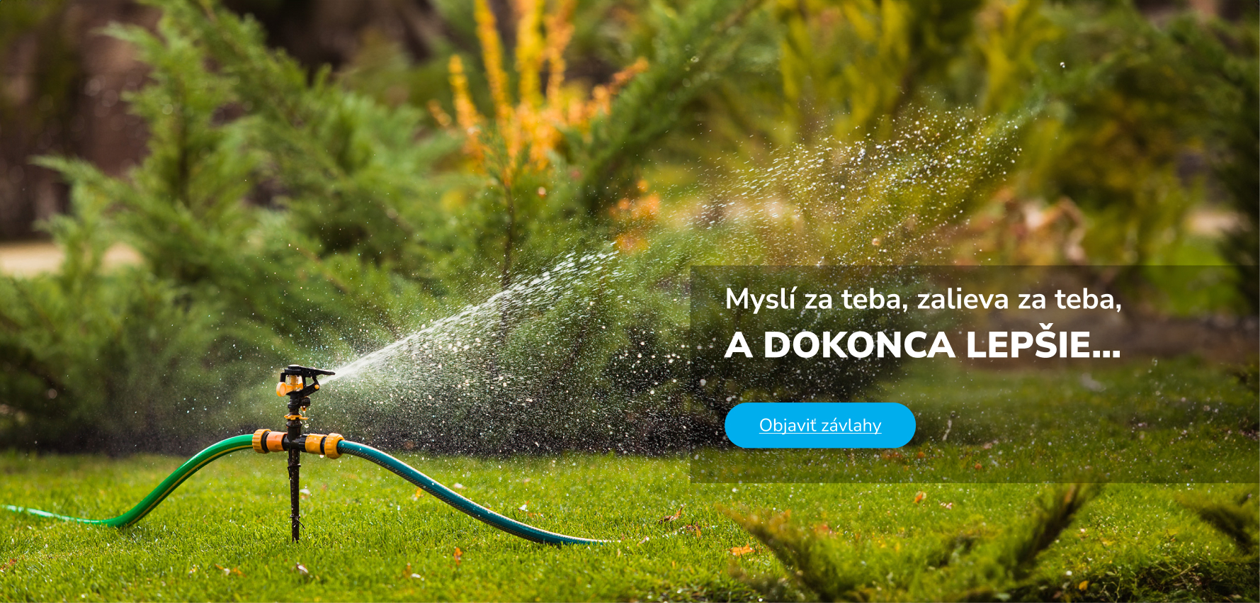 závlahy